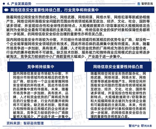 2024-2030年中国网络信息安全行业市场调查研究及发展前景规划报告
